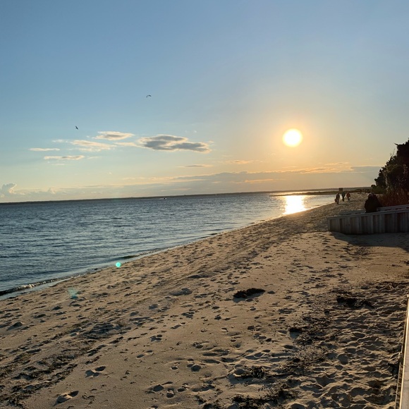 Meet your Posher, Jan - Picture 1 of 1